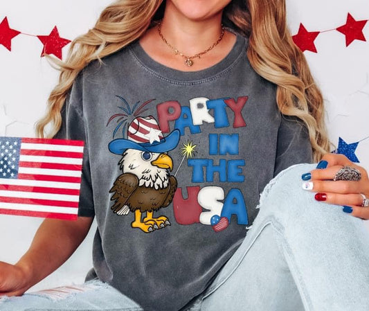 Party in the USA ~ Graphic Tee