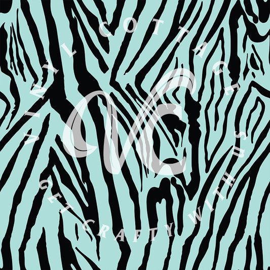 Zebra 06