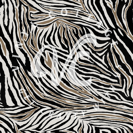 Zebra 04